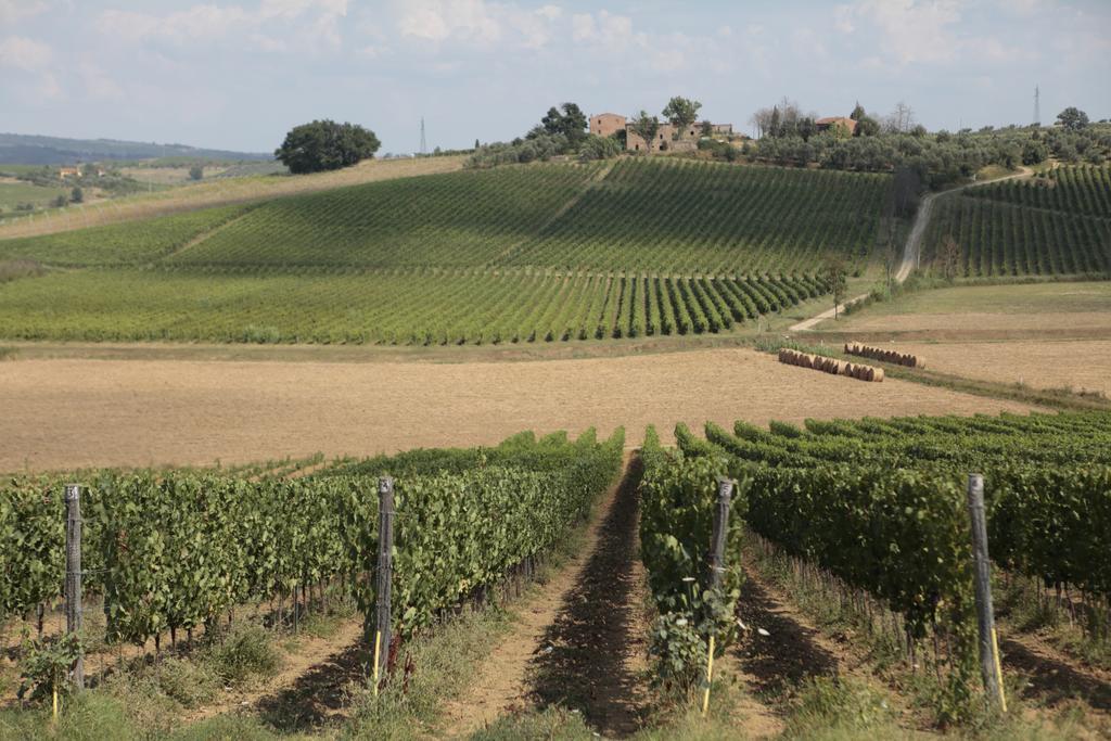 Agriturismo Spazzavento วินชี ภายนอก รูปภาพ